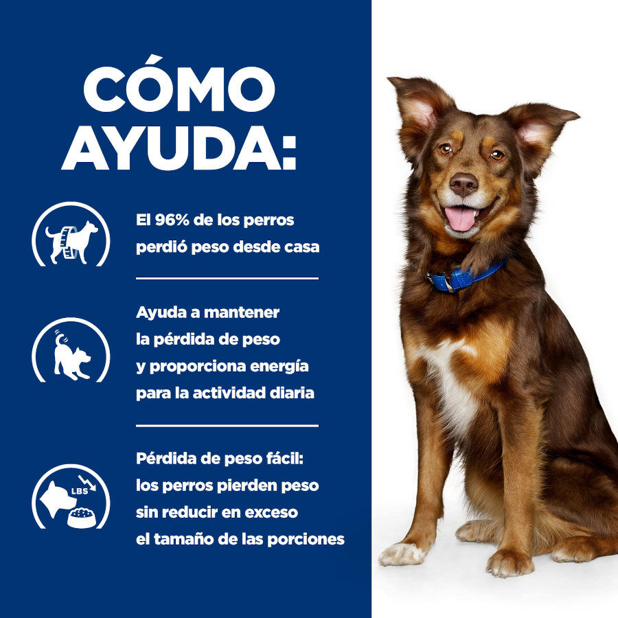354 g Hill's Prescription Diet Metabolic Estofado de Pollo y Vegetales lata para perros, , large Imagen numero 3